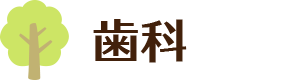 歯科